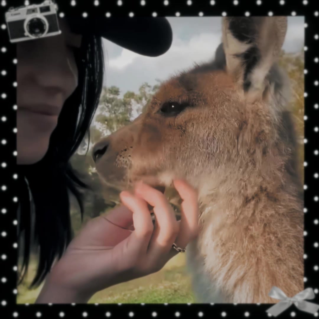 @𝙕𝙤𝙚