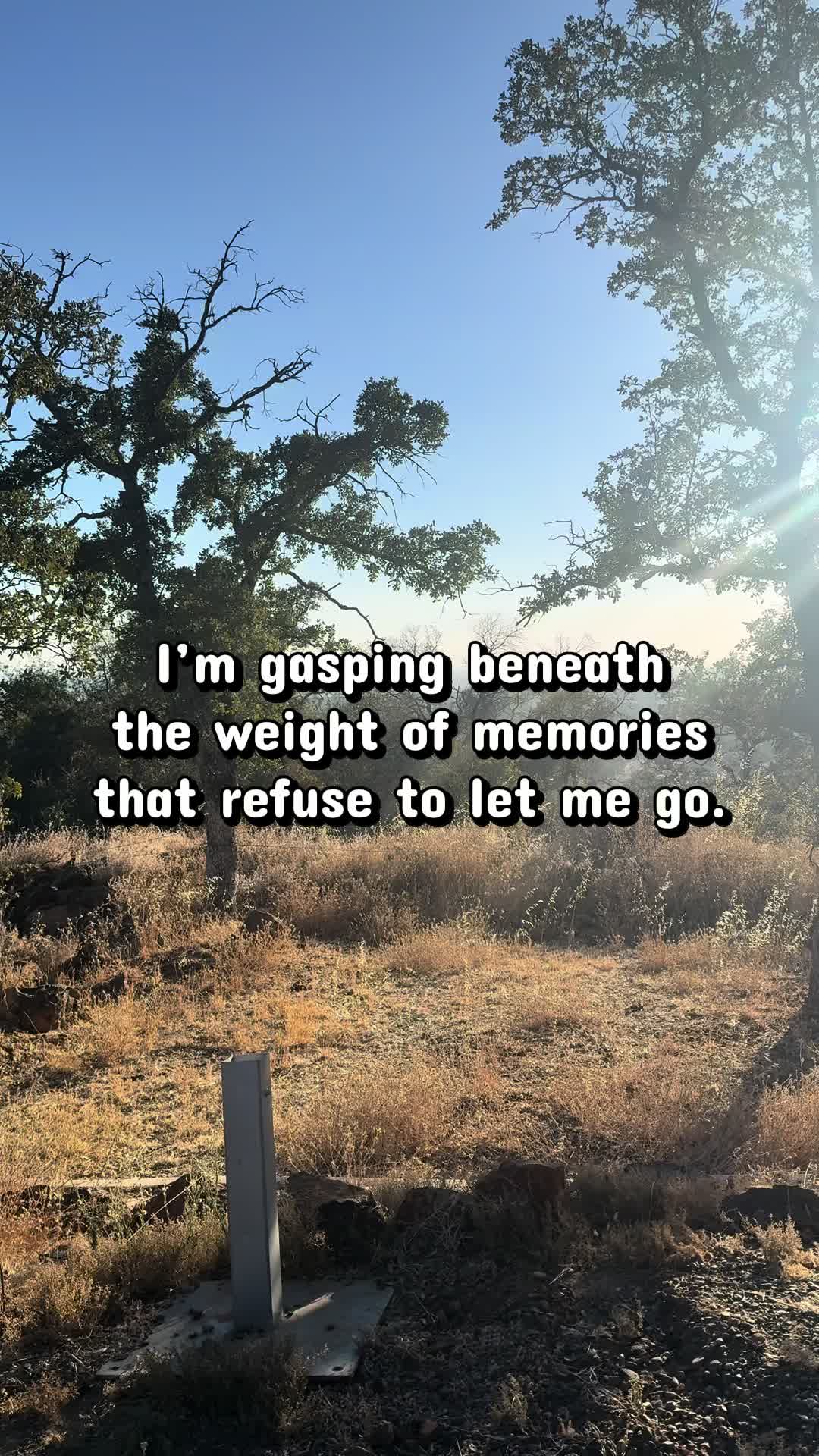 @BoundariesofmyHeart