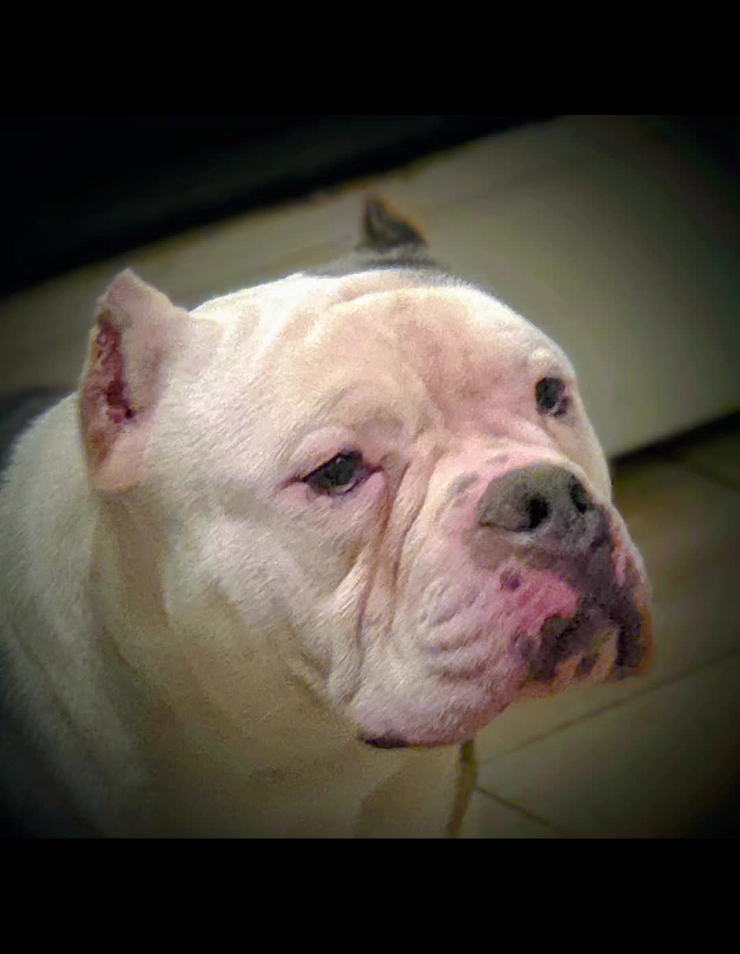 @125 BullyCamp