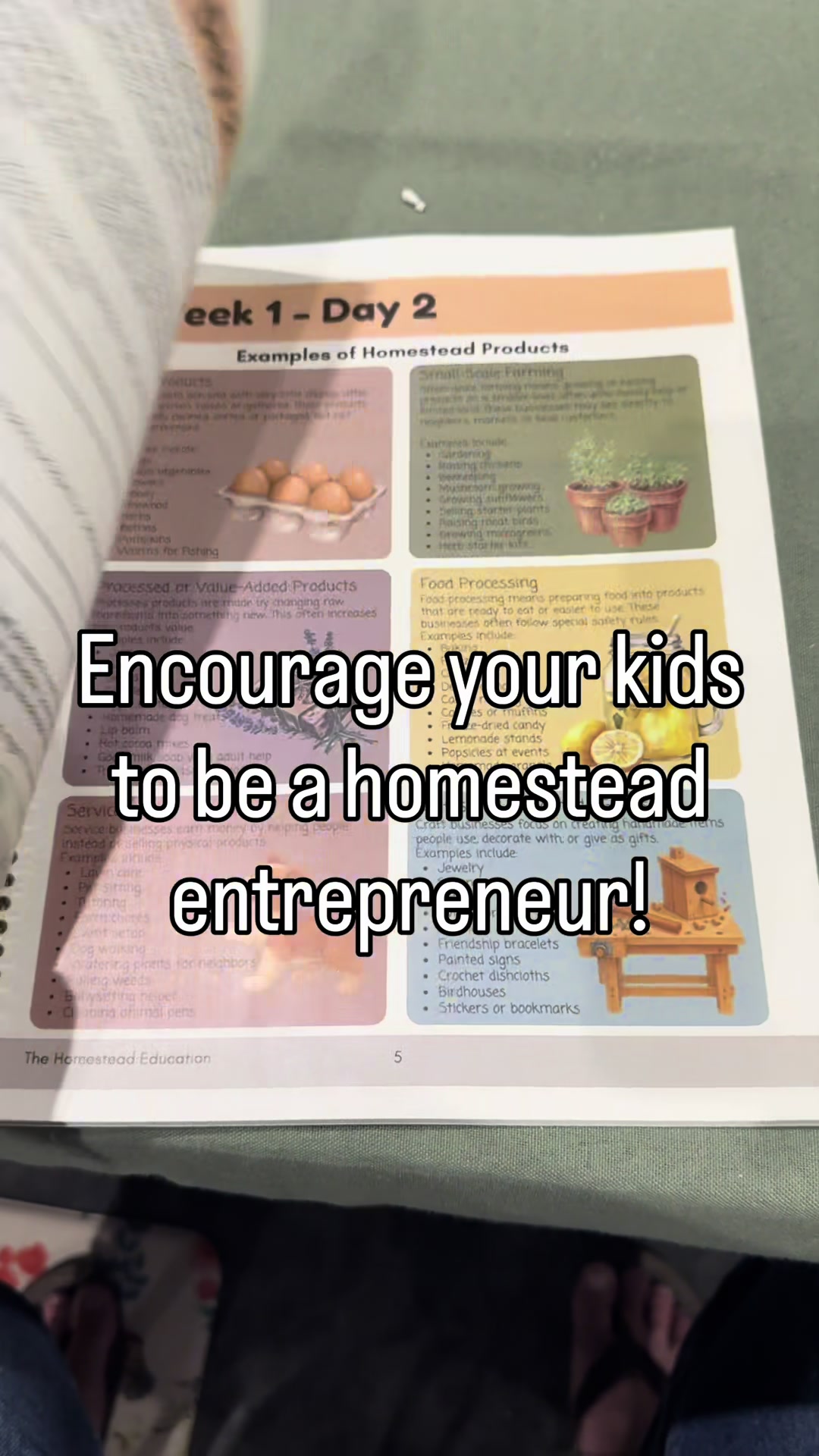 @thehomesteadeducation