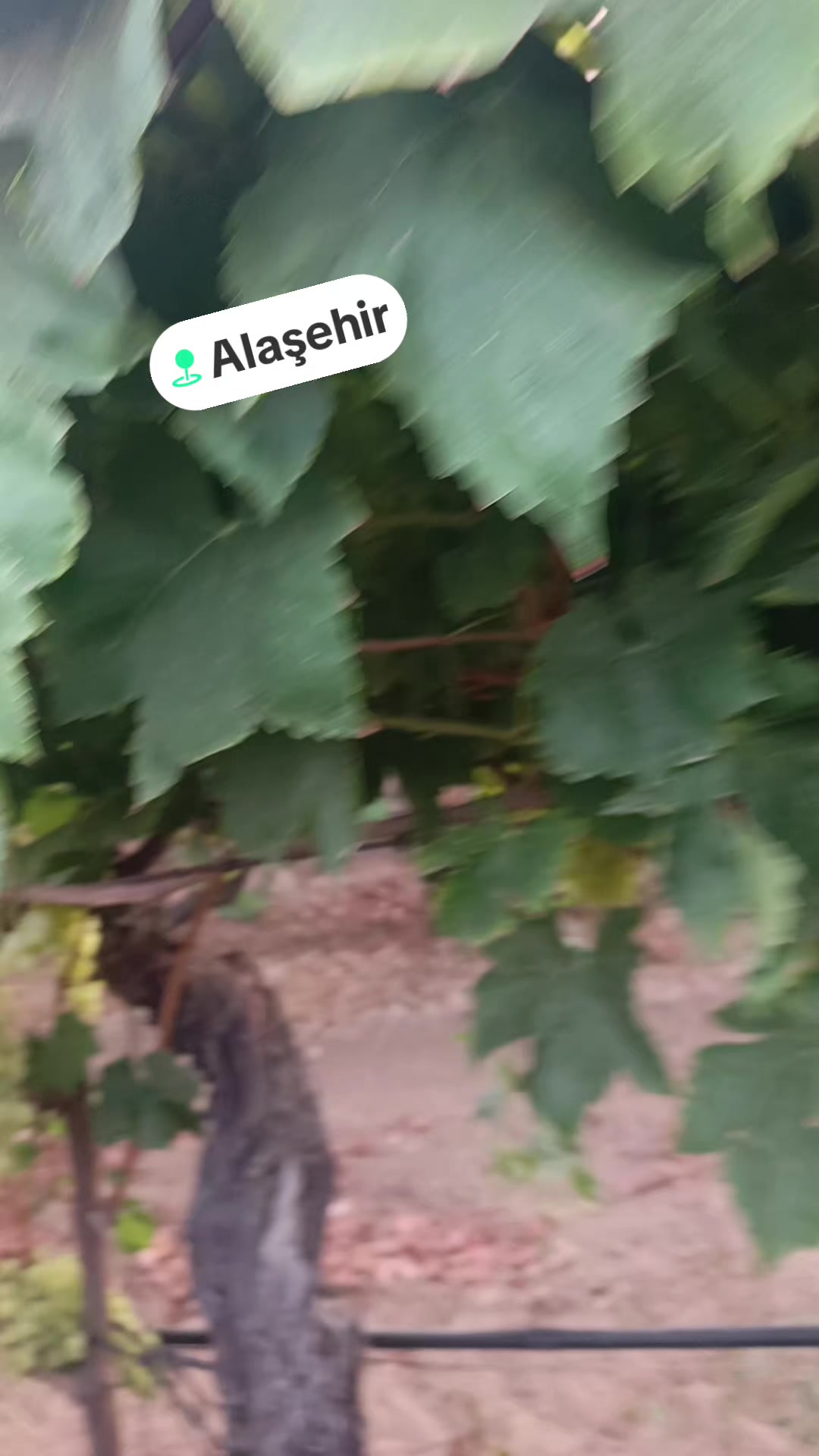 @Hatice altinkaynak