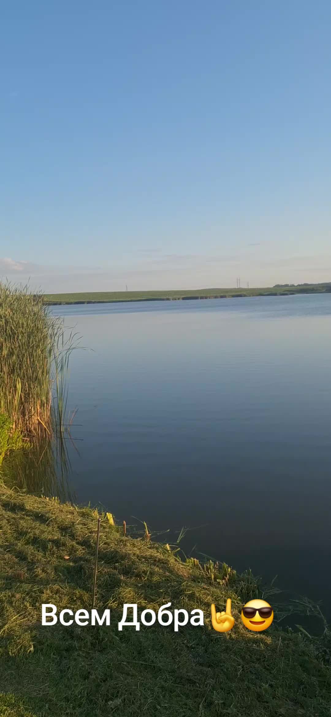 @Дикий карп рулит💪😎💪