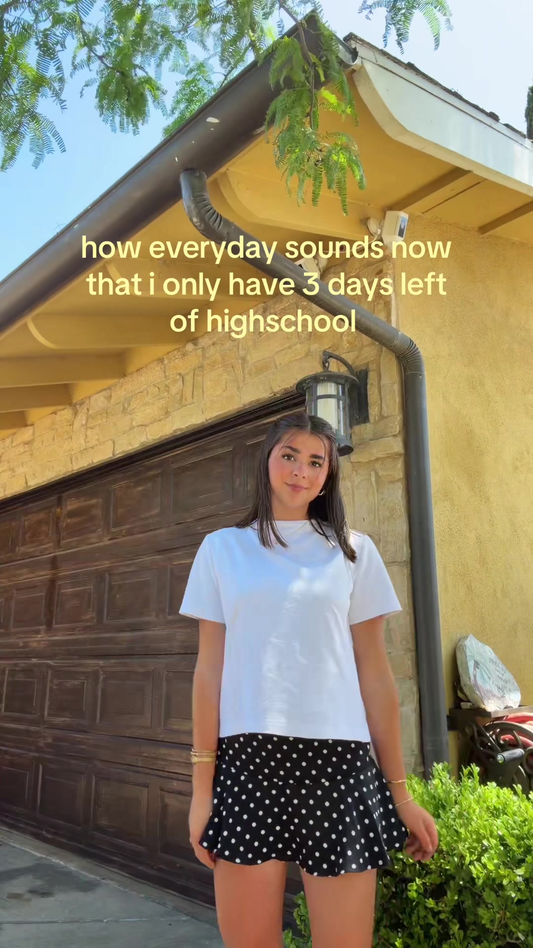 @jujushoga17