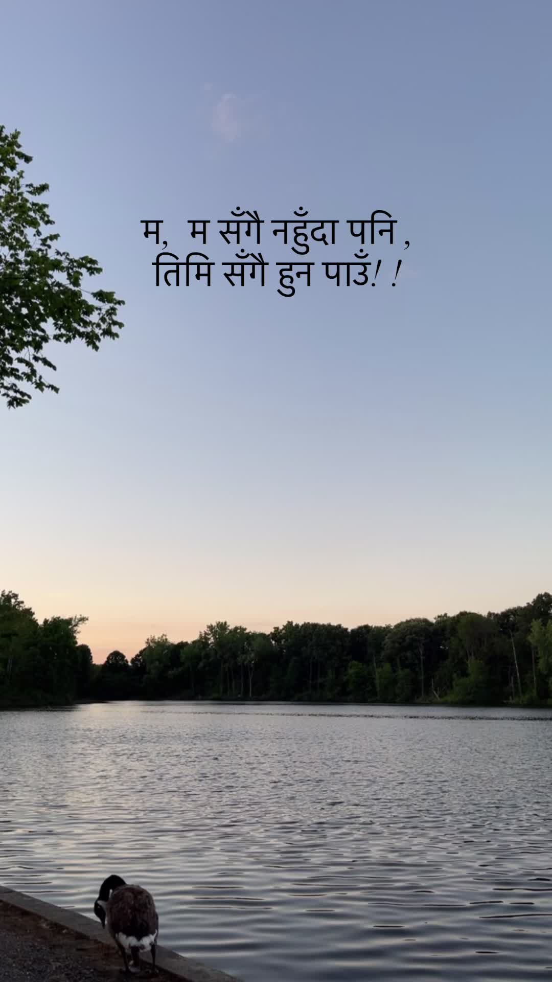 @SARKAAR
