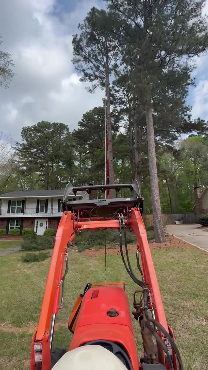 @The Tree Assassins
