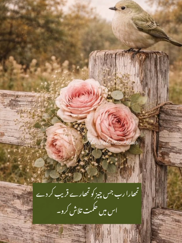 @The Islamic Hour