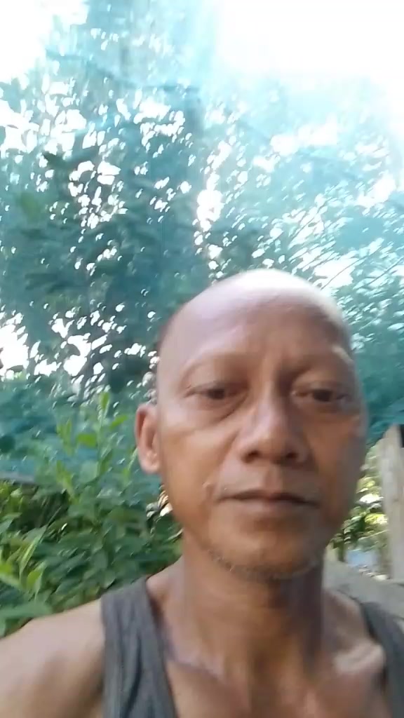 @Kamegs