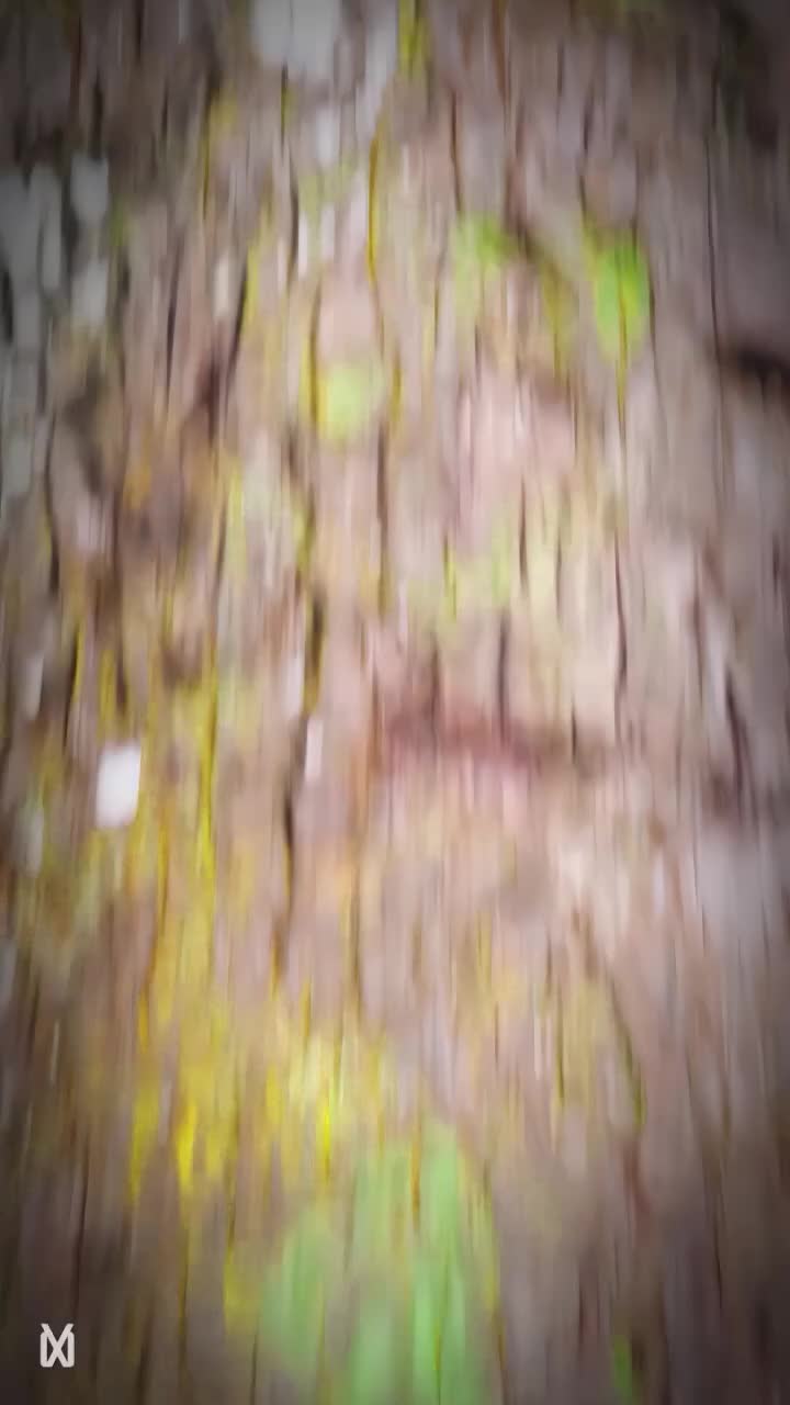 @✔︎✔︎✔︎🇽 🇦 🇵 🇷 🇮 ✔︎✔︎✔︎