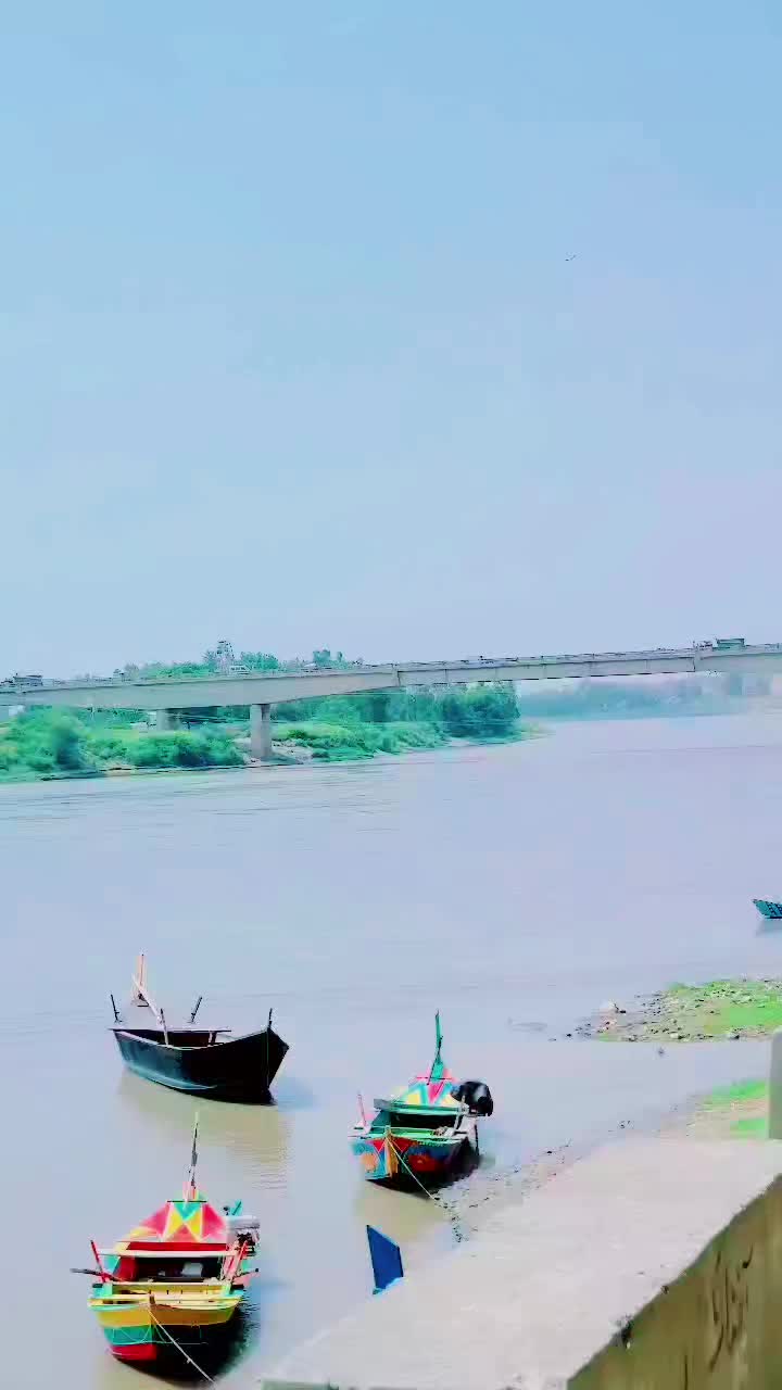 @◦&bull;●◉✿  M Naeem  ✿◉●&bull;◦