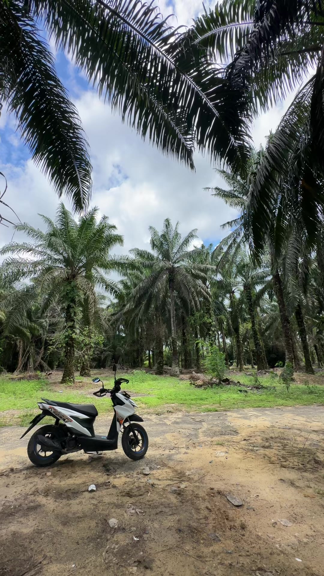 @8055 RAM