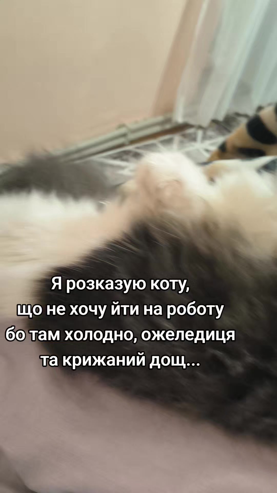 @Zorka