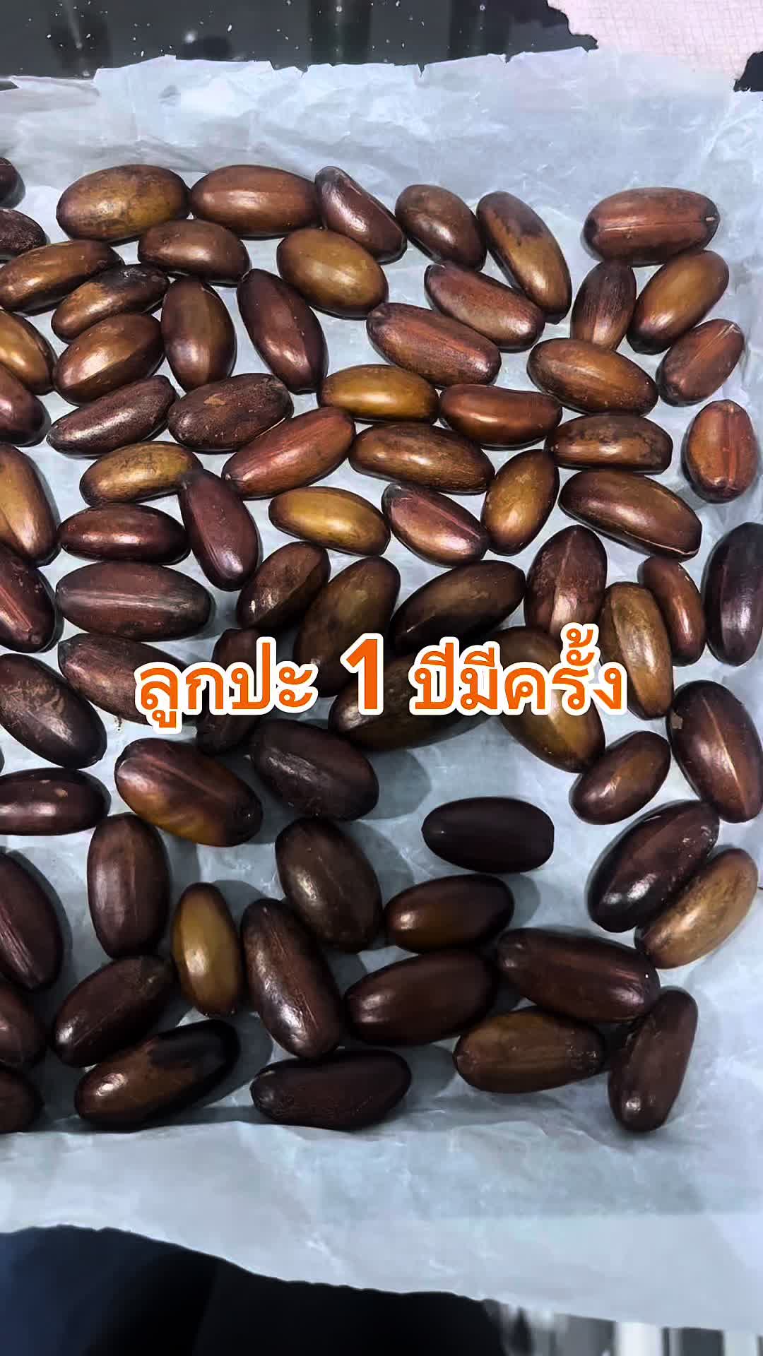 @Chilly Book