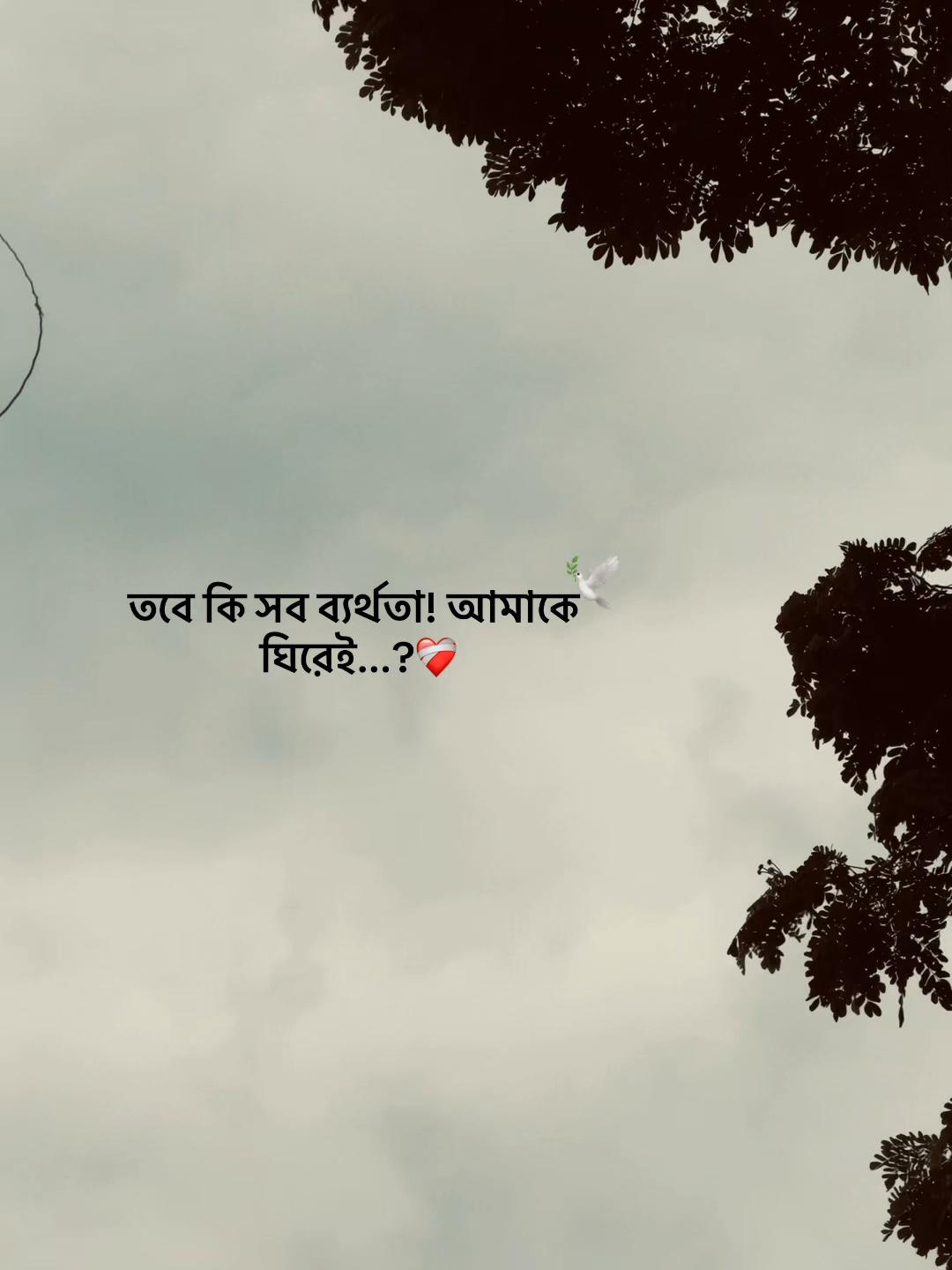 @Jahidul lslam 95