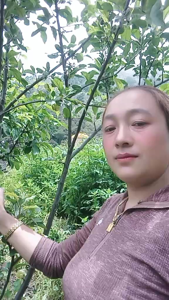 @Pupulamu22