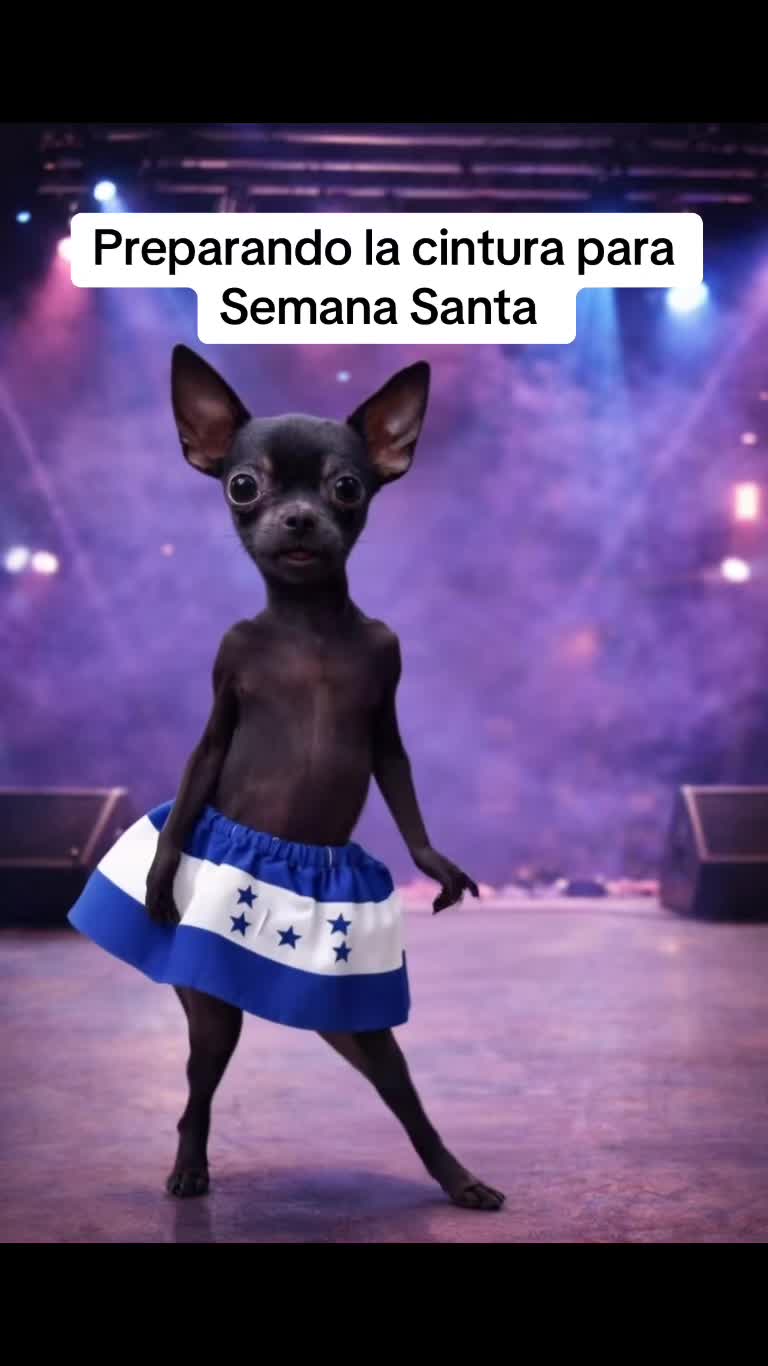 @virashow
