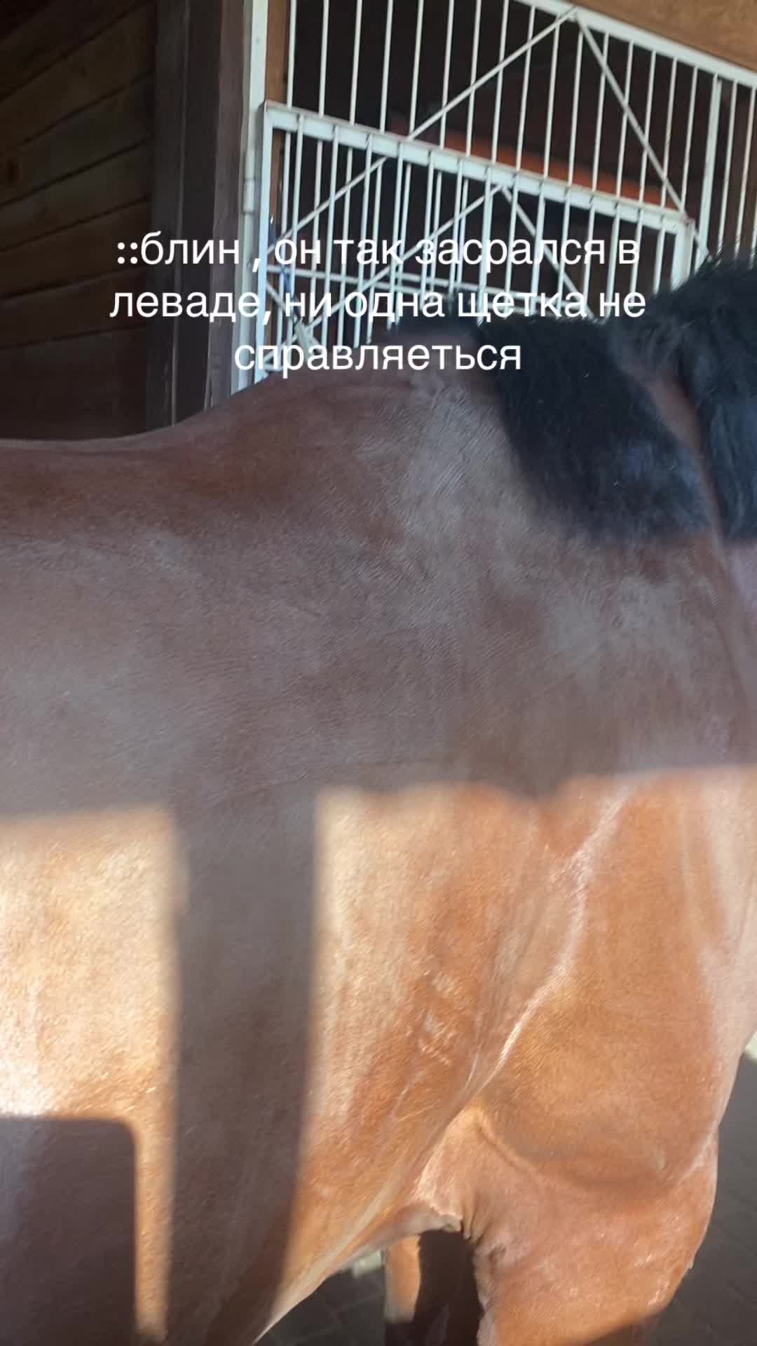 @я полезная как генератор 👍