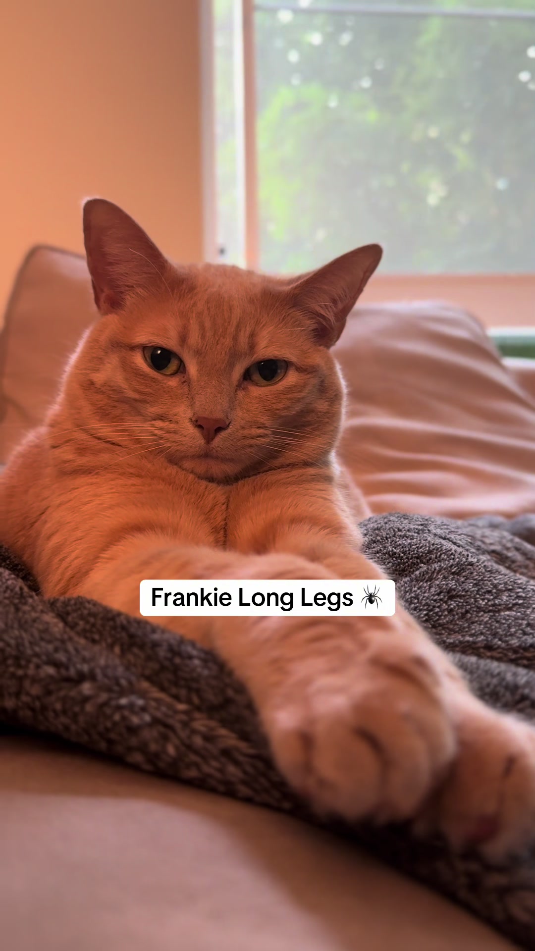 @Frank & Bean