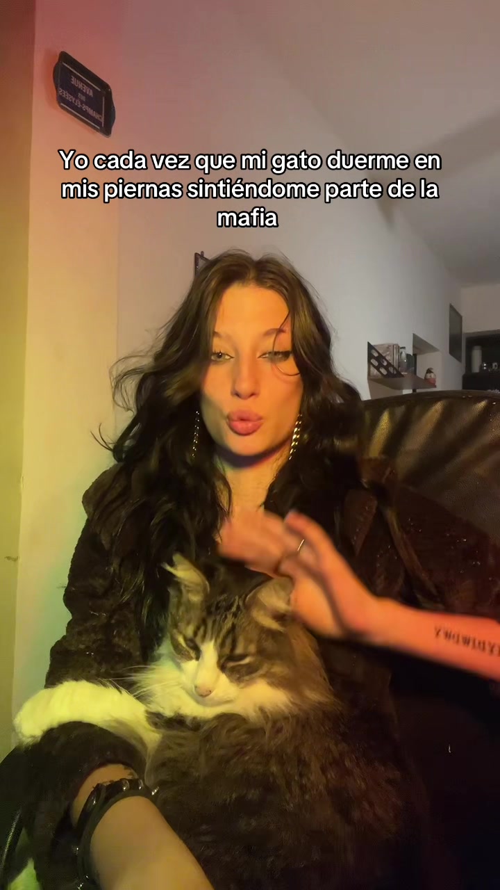 @desobediente
