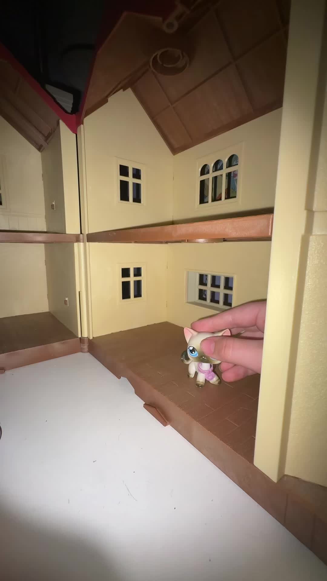 @𝓑𝓮𝓵𝓯𝓸𝓻𝓽