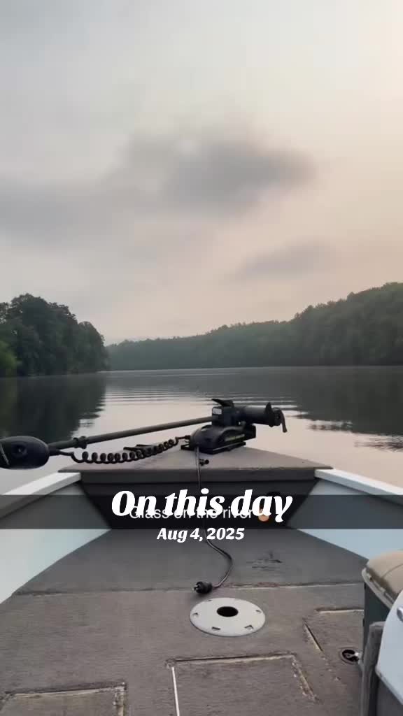 @Arcticcatmatt