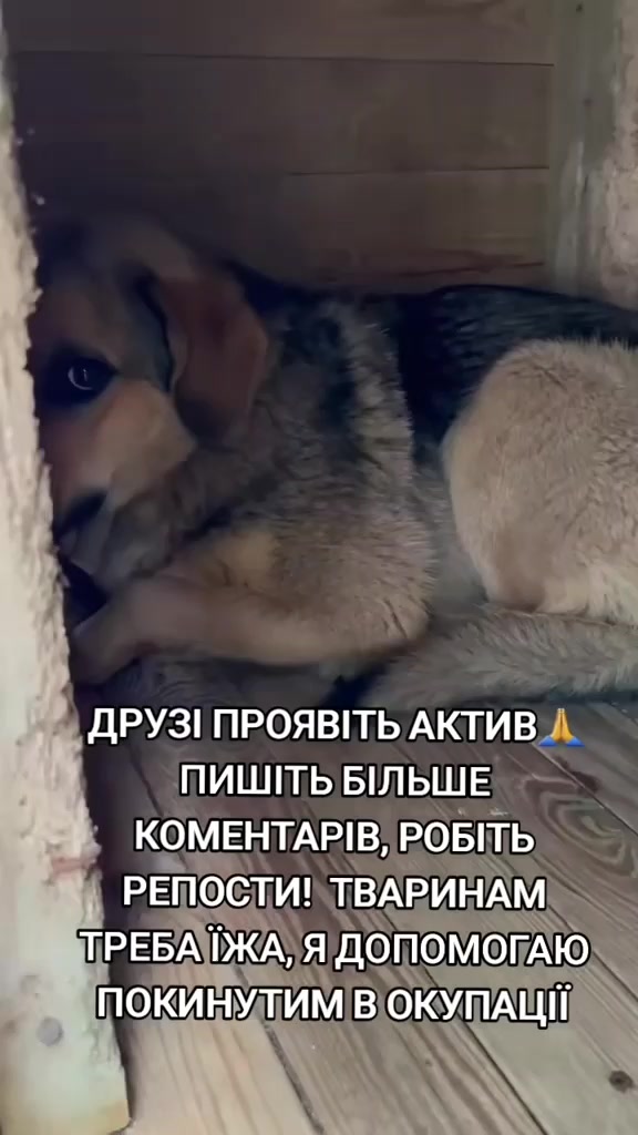 @tvarinkidobra