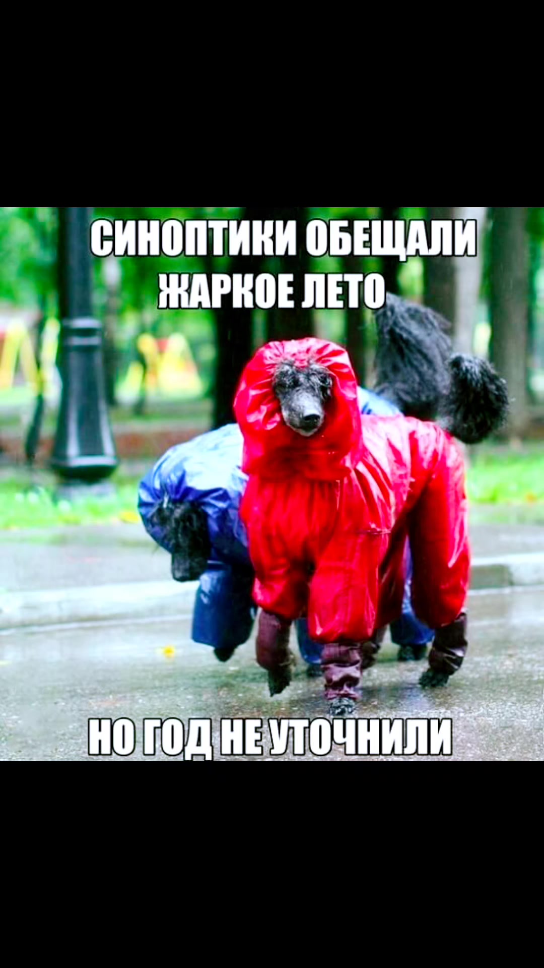 @ooopp