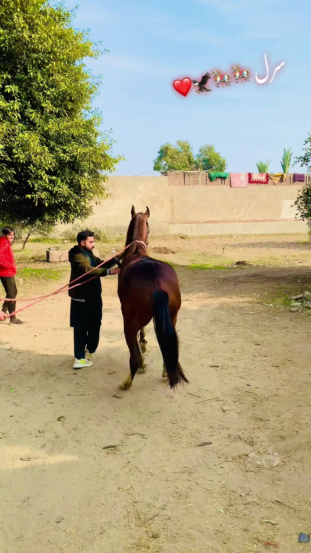 @🦅Ch-Asjad-Ali-Saidagoll🐎
