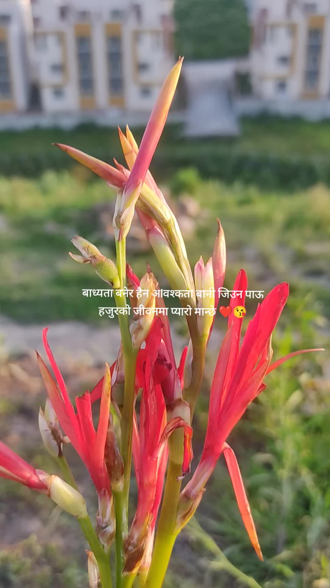 @🥰रेश्मा🥰