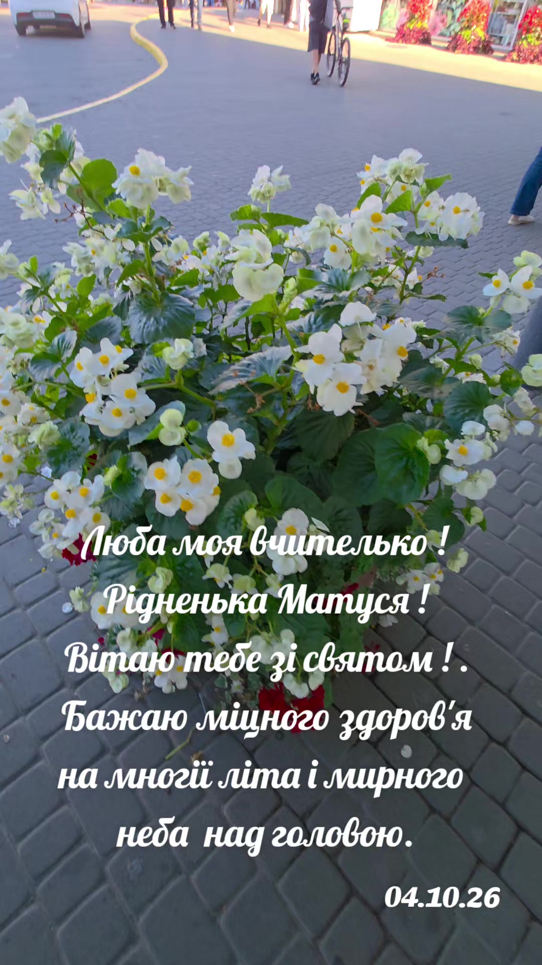 @👠 Амазонка 👠