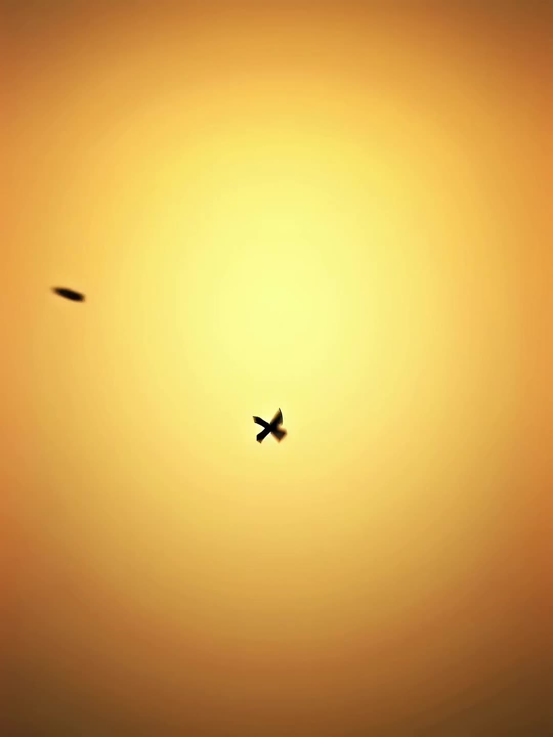@𝑻𝒔𝒖𝒌𝒂𝒔𝒂 || 𝑻𝑩𝑯𝑲