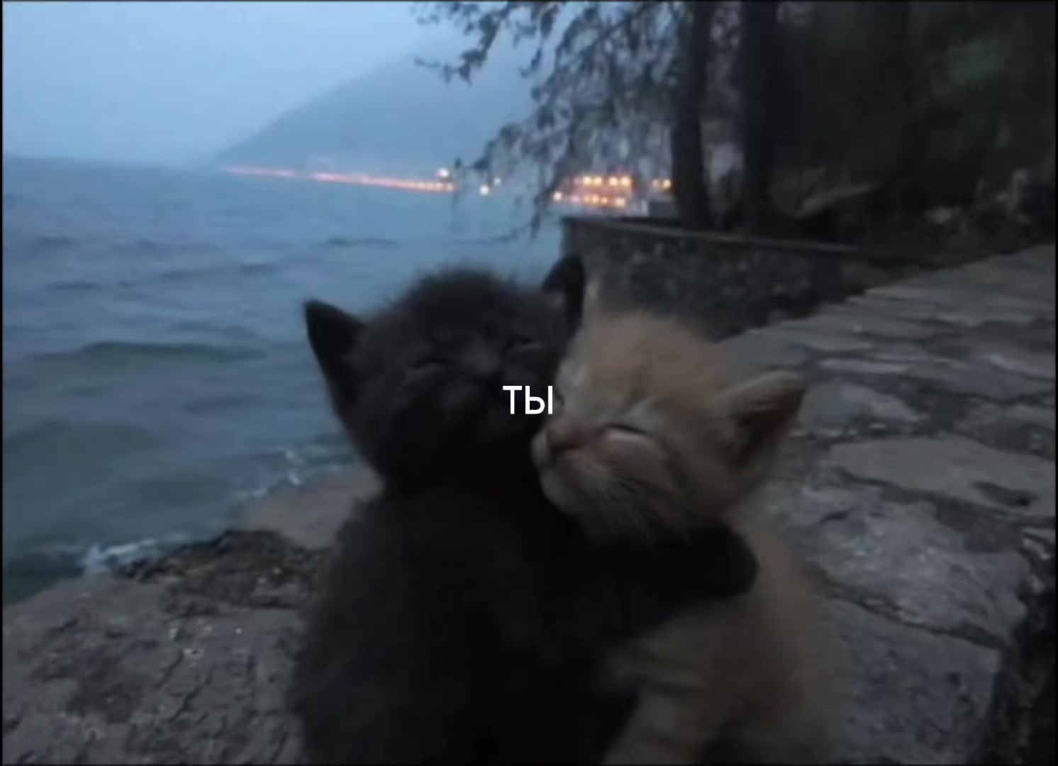 @любимая