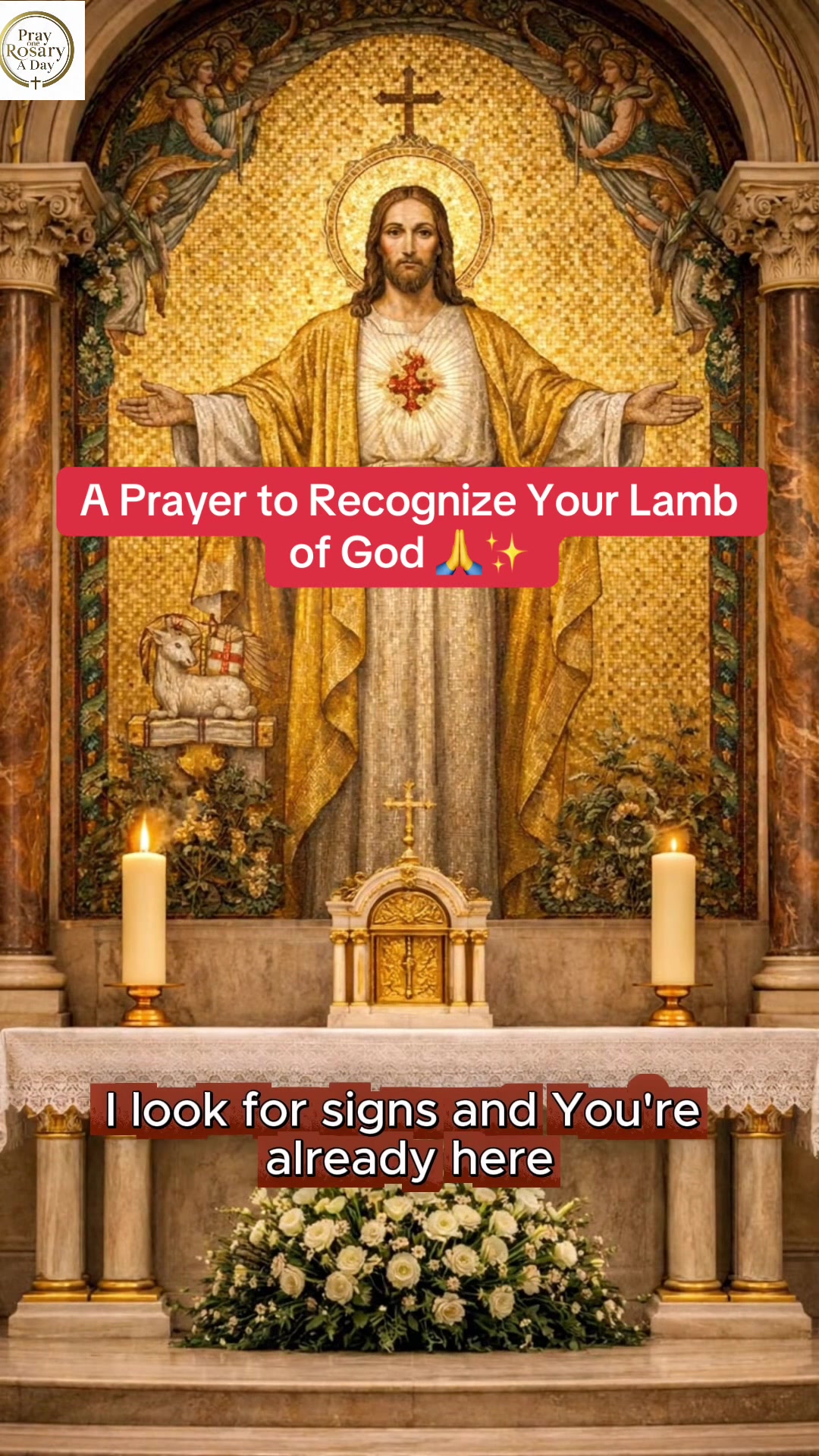 @One Rosary A Day