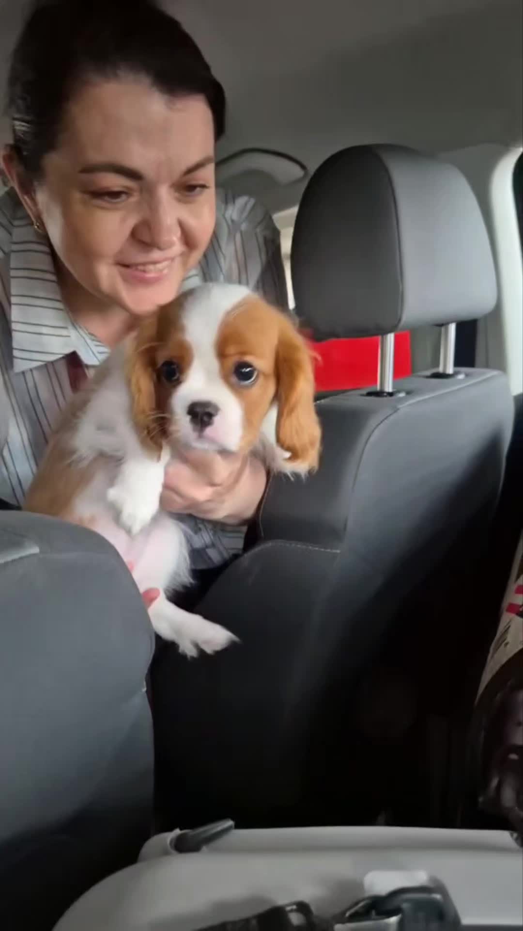 @Виктория