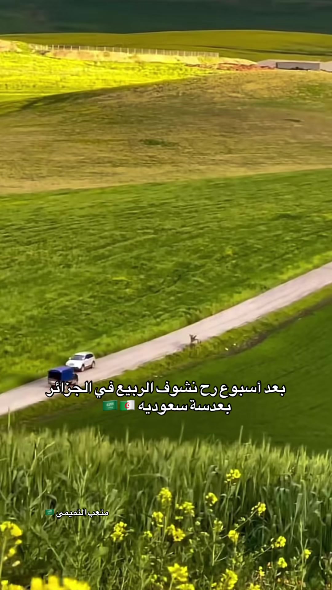 @Kılℓer Smiℓe