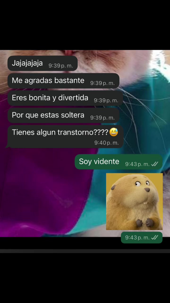 @AMMV