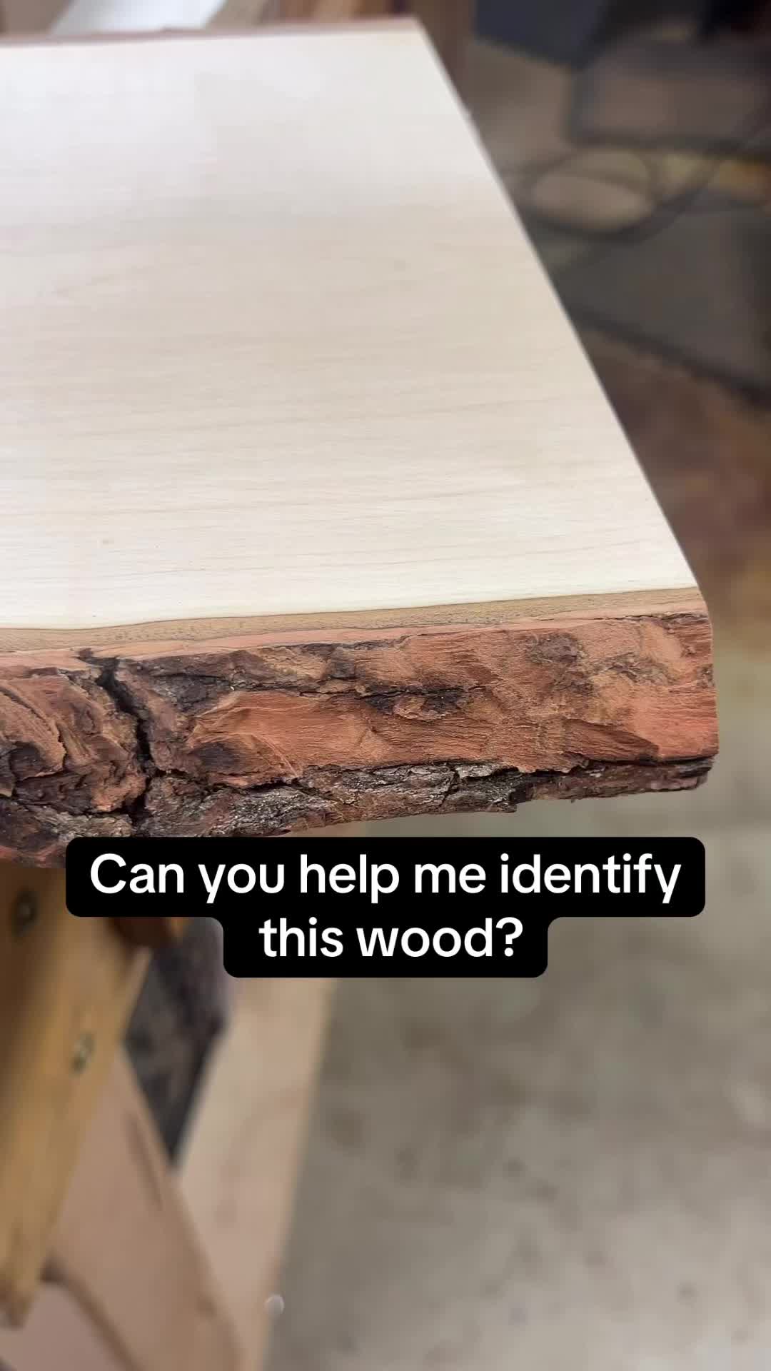 @Chef Frank | Chef-Made Boards