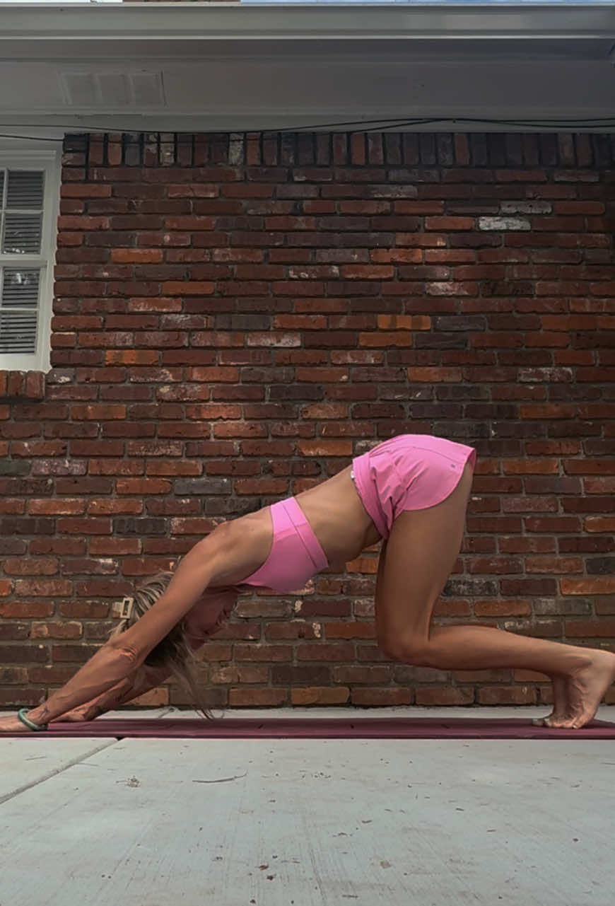 @Neko & Buster Yoga