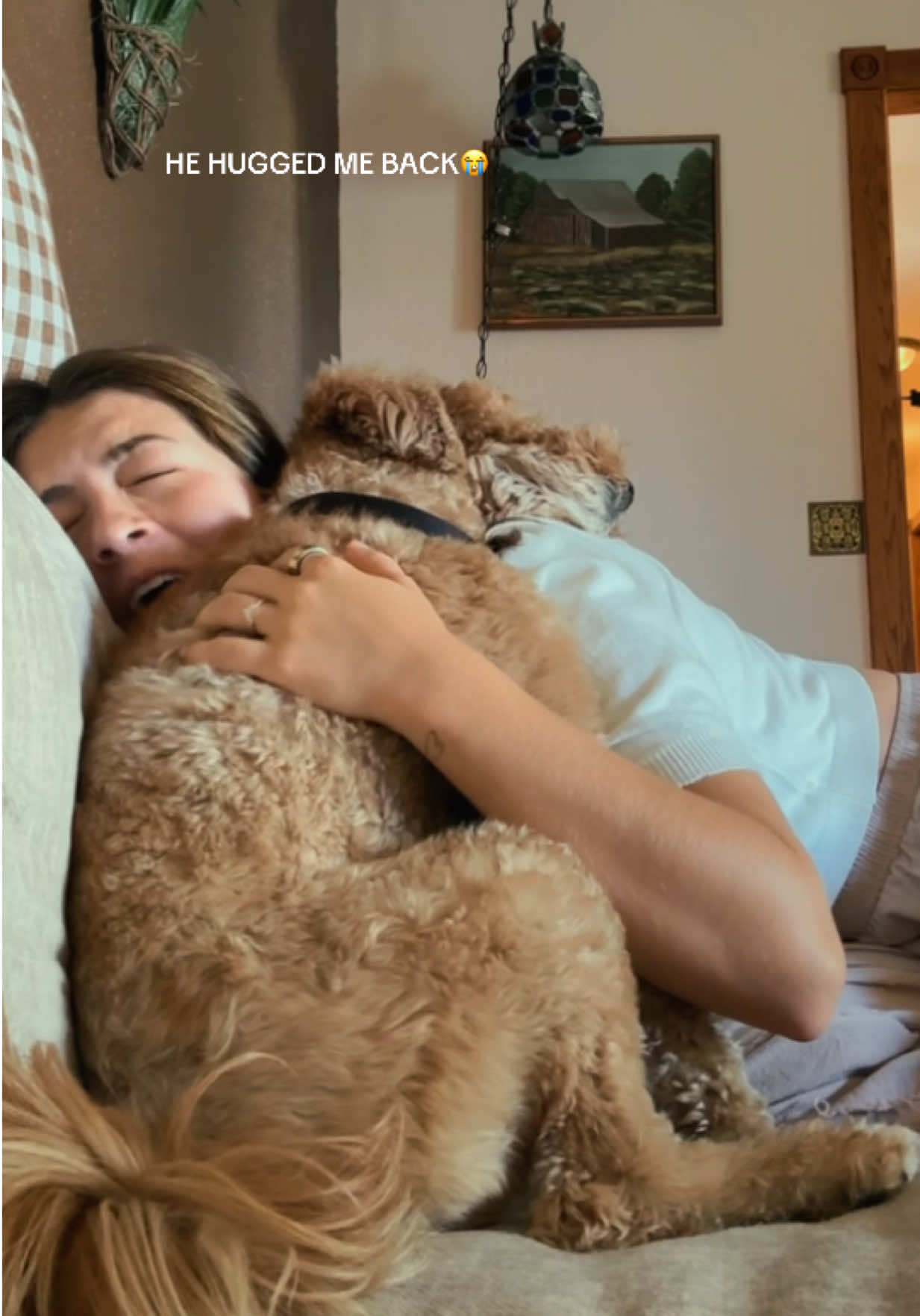 @ellabraungardt