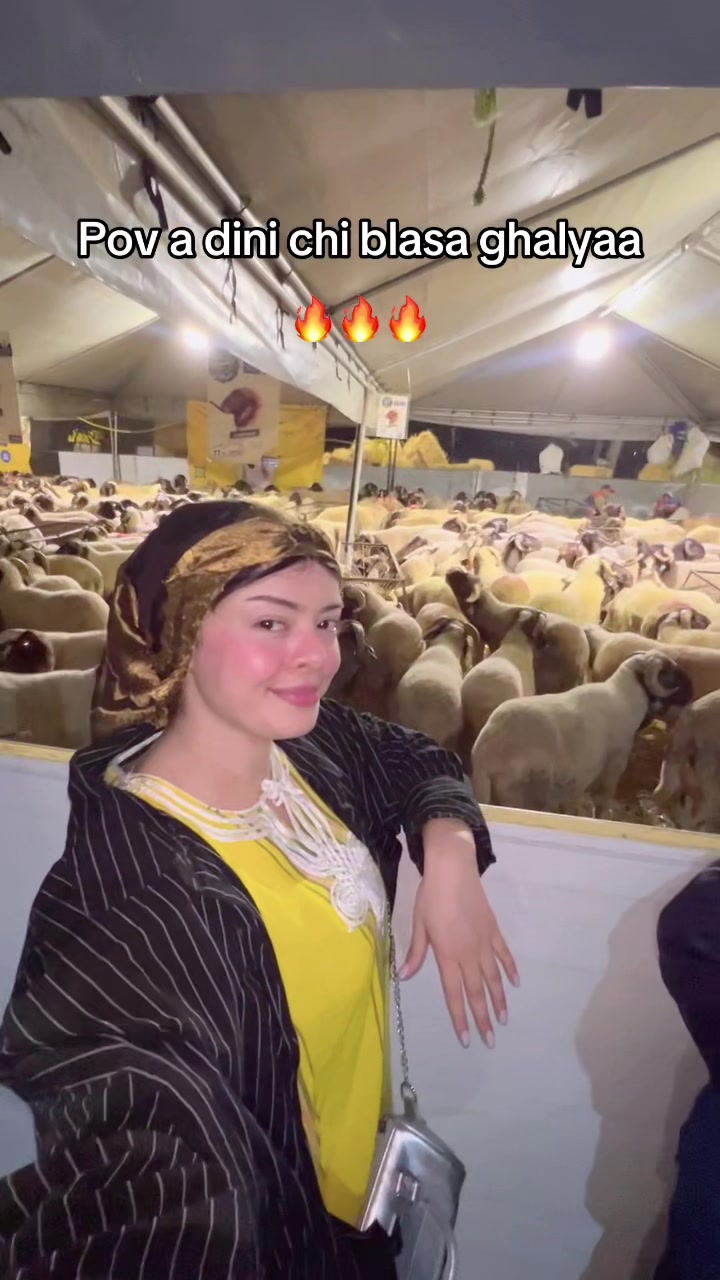 @Faty_faraj