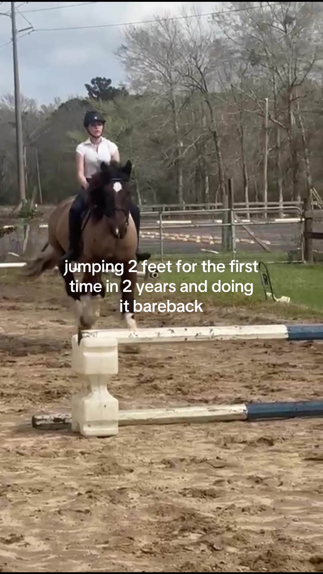 @foreskinchees