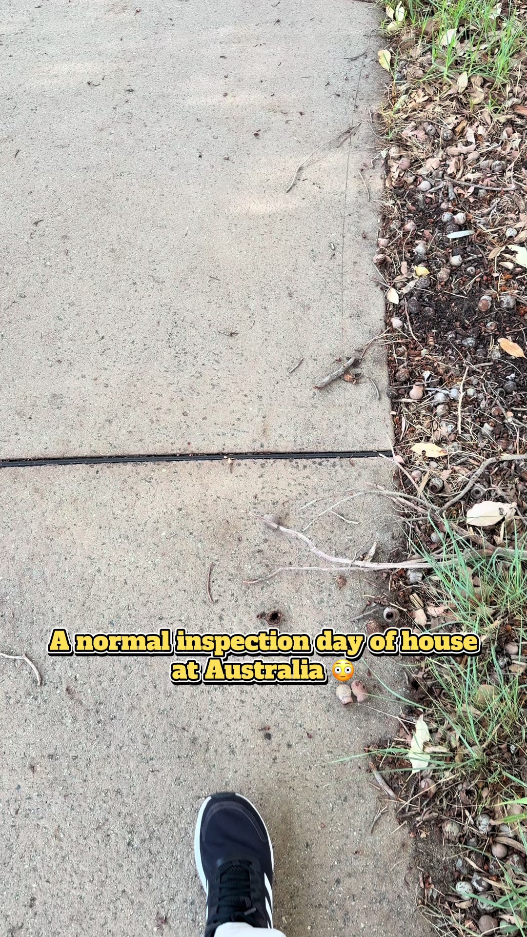 @Bilal@Aussie