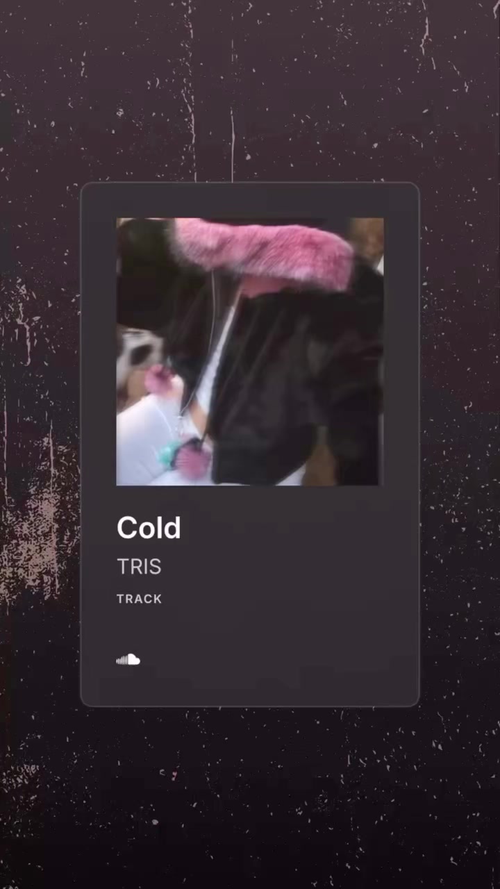 @Tristan Luv