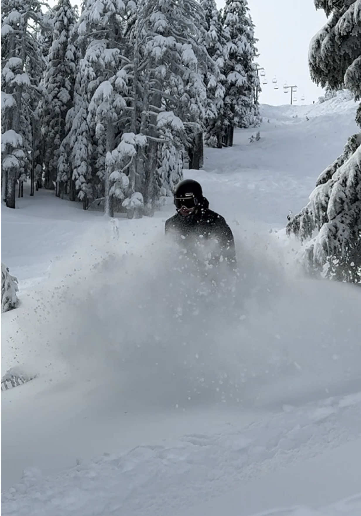 @mt.bachelor