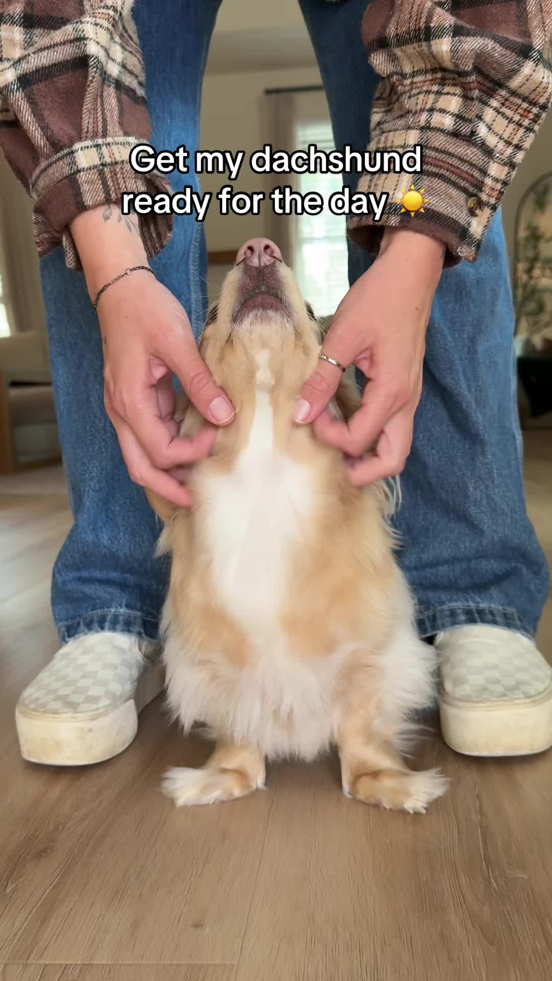 @Billiebeantheween