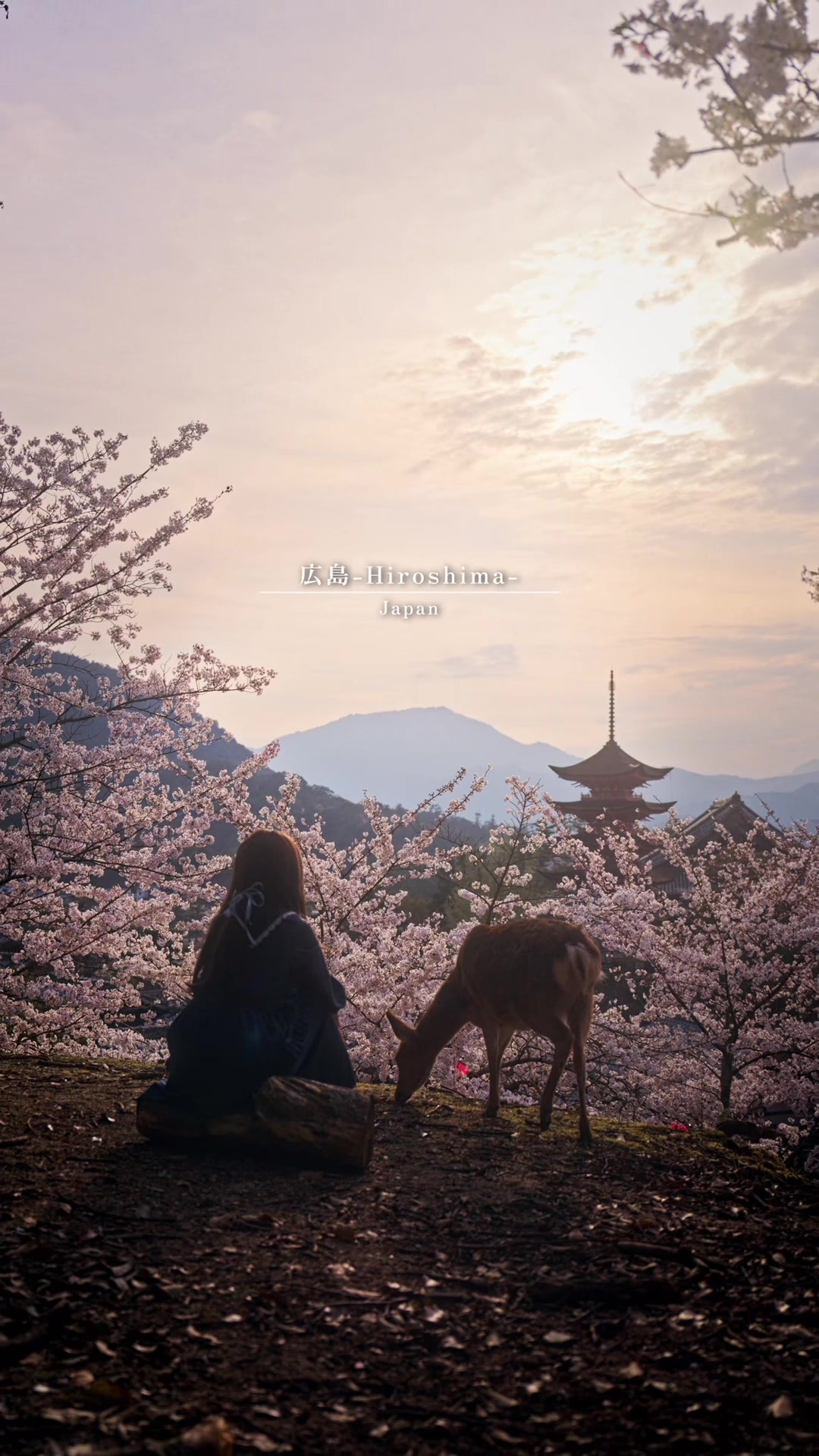 @Ayuki.S_JPwalker🎥