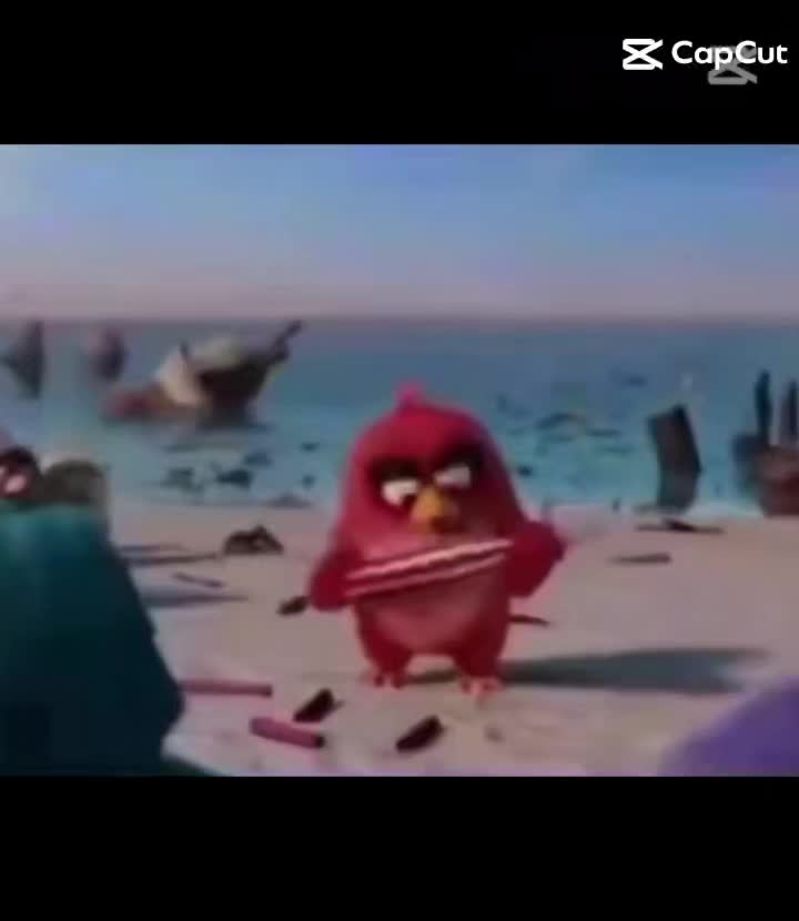 @cool241234