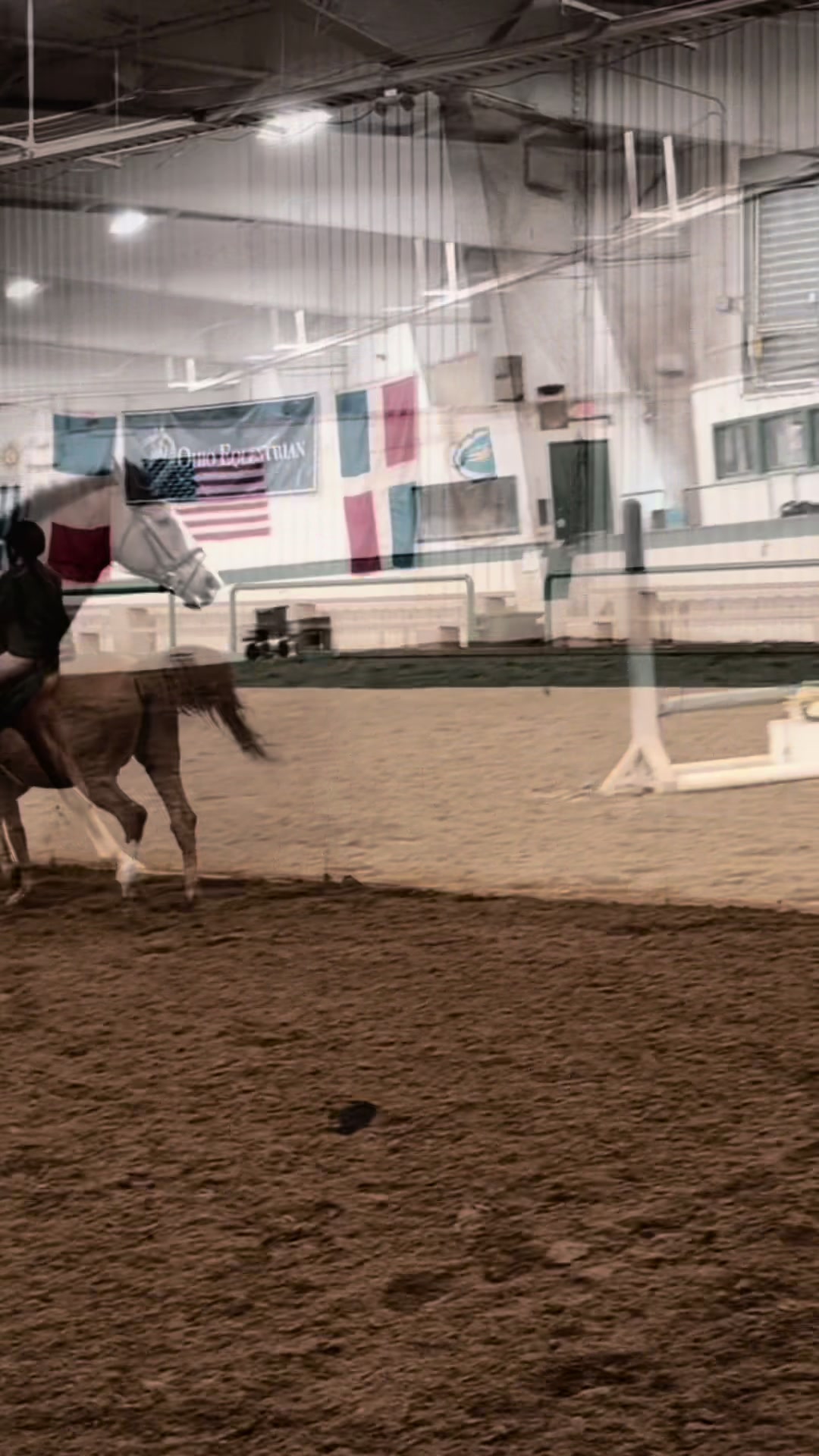 @🌻Kaitlyn C. Dudycz🐴