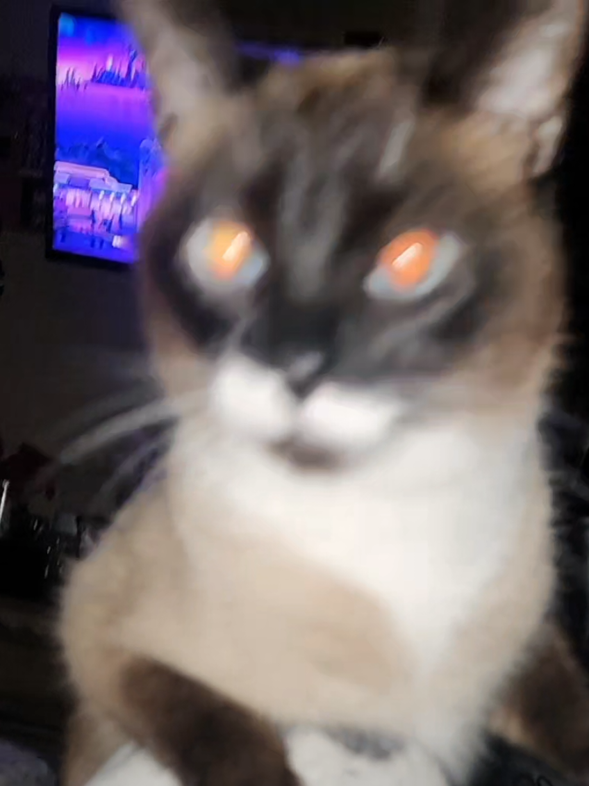 @๐ ๐