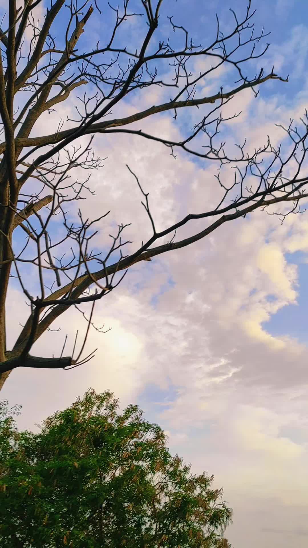 @𝑨.𝑳𝒊𝒔𝒔𝒆𝒕𝒉