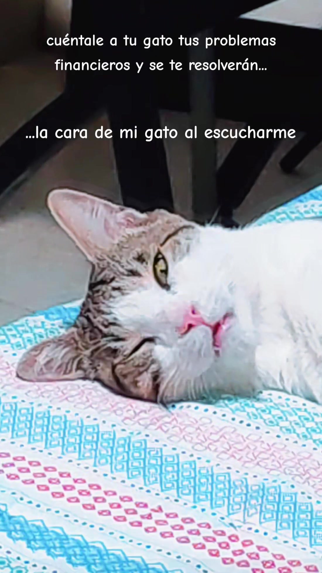 @Claudia Ram&iacute;rez